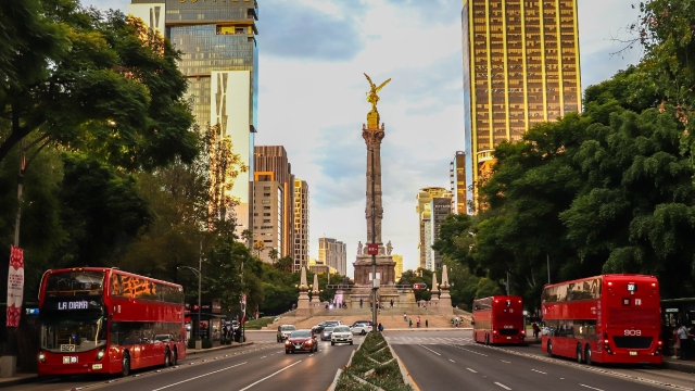 Conoce rutas y horarios de cada línea